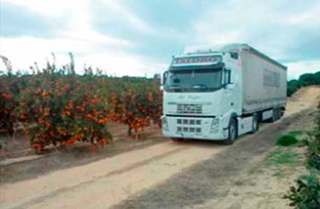 Antonio Gijón operador de transportes - Camiones GPS Futuro